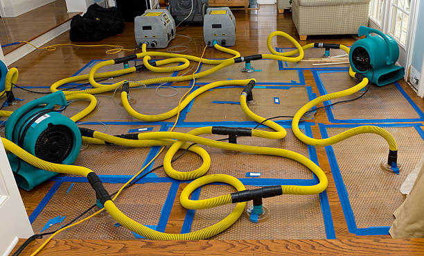 Professional Water Damage Restoration technician working in Freedom, ME